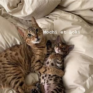 Meet your Posher, Che